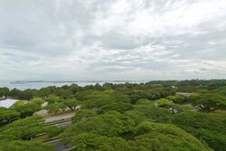 Blk 33 Marine Crescent Ville (Marine Parade), HDB 3 Rooms #495806201